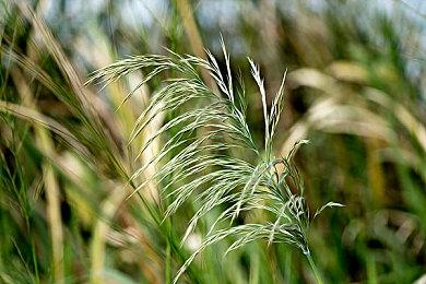 《最终幻想7：永恒危机》发布上市宣传片 9月7日上线